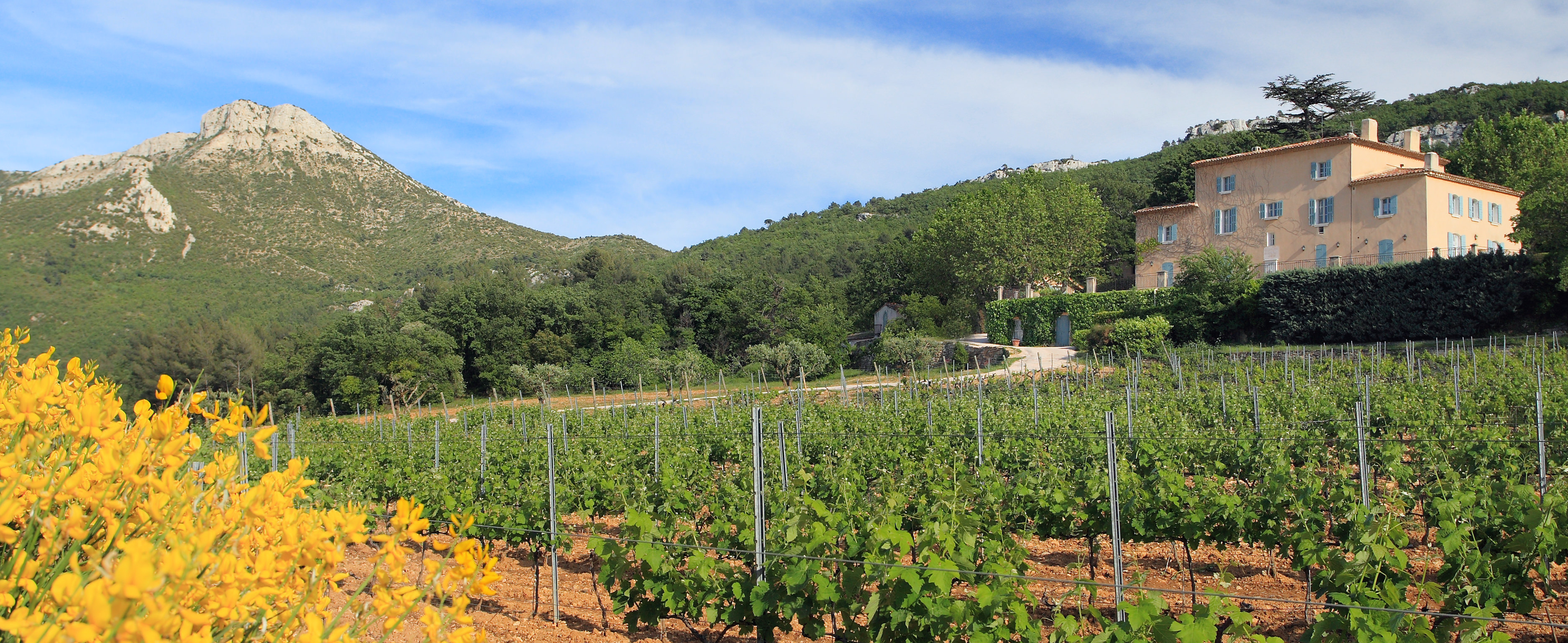 Château Grand Boise